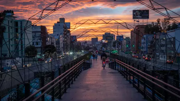 Ecoducto+ Pabellón del Agua, a detalle