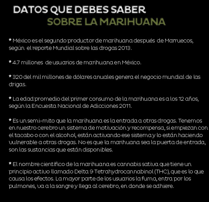 Toma en cuenta estos datos antes de tomar una posición sobre la legalización de la marihuana.