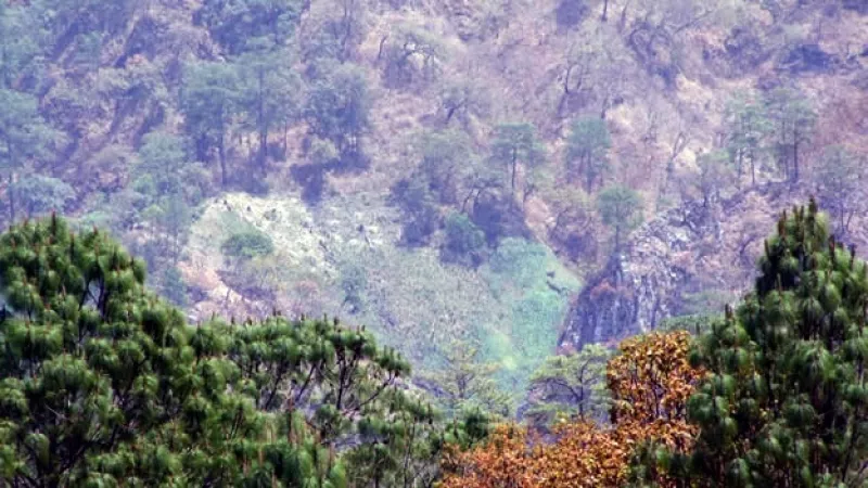 Ejército Durango zona 10