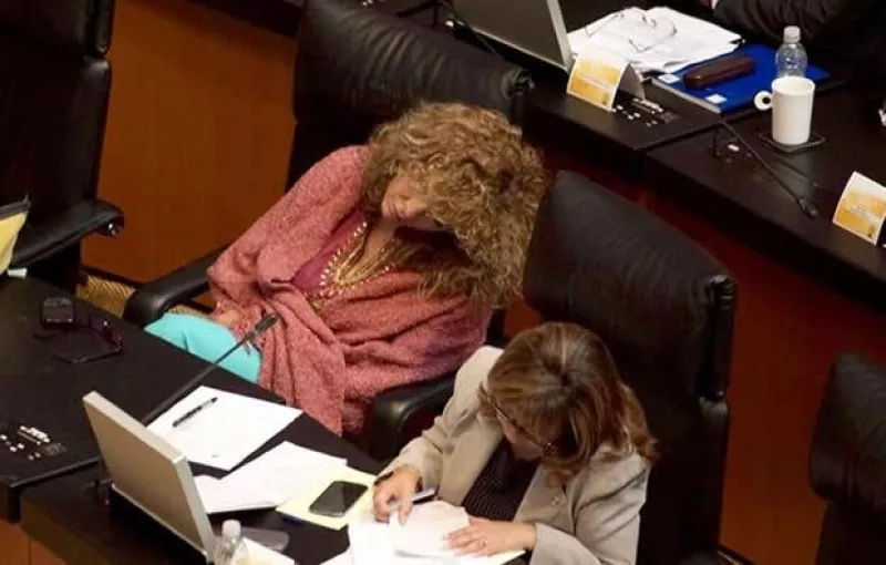 La senadora por el PRD estudió Relaciones Internacionales en la UNAM y en su juventud representó al estado de Yucatán en el certamen Señorita México 1984.