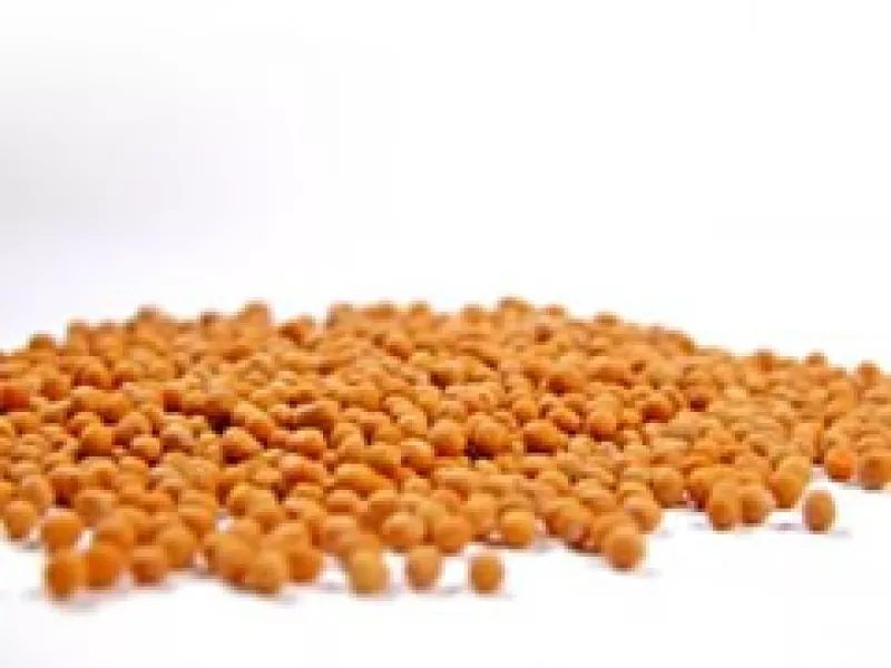 La fabricación de combustible de mostaza no afectará la producción del grano para la alimentación. (Foto: Dreamstime)