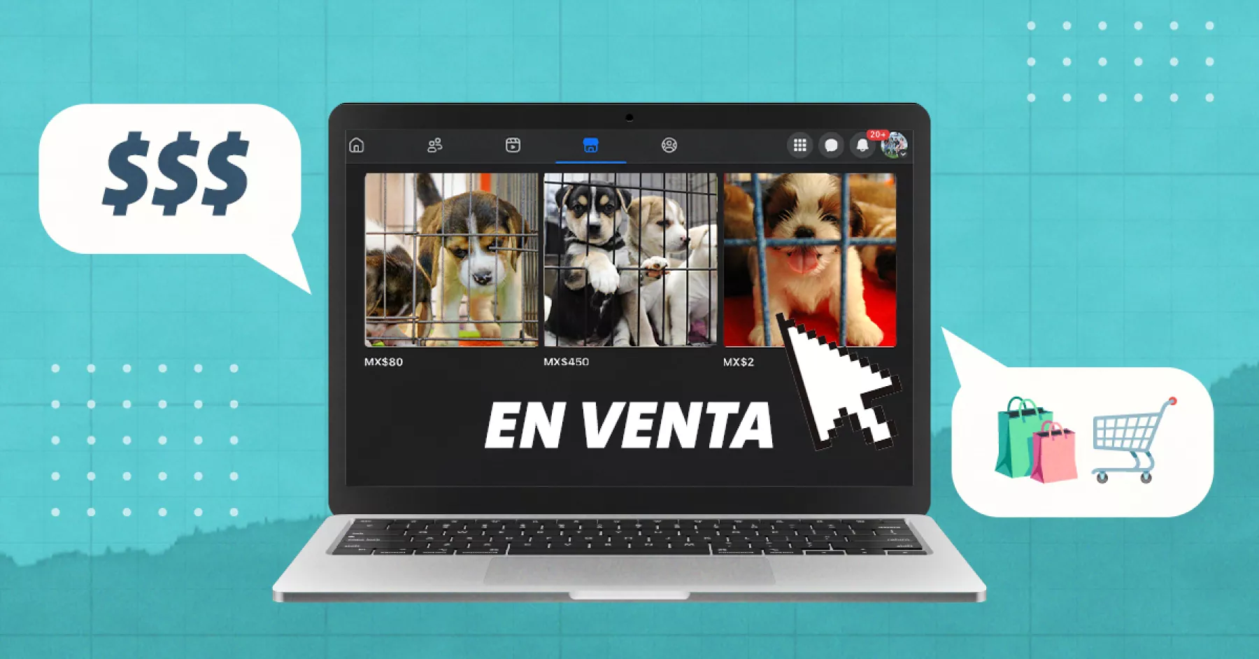 CDMX prohíbe la venta de mascotas en lugares públicos, pero abre un nuevo mercado: las redes sociale