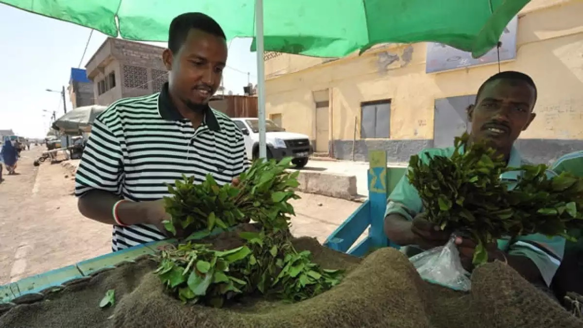 Un par de africanos compran khat en un mercado local