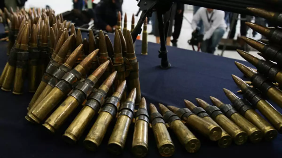 En abril de 2009, la Policía Federal realizó un decomiso de armas en el municipio de Santa Ana, Sonora