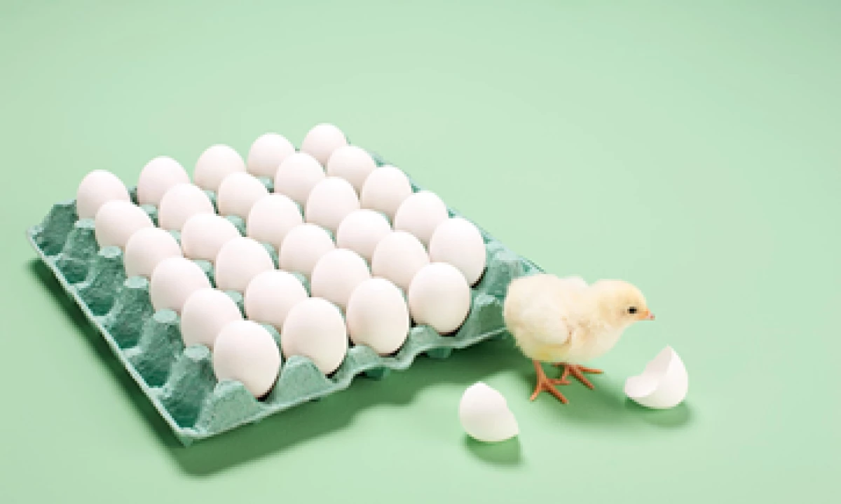 En el mismo periodo de un año antes, la empresa se vio beneficiada por un incremento en los precios del pollo y del huevo. (Foto: Getty Images)