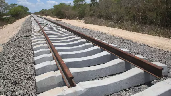 Tren--Maya