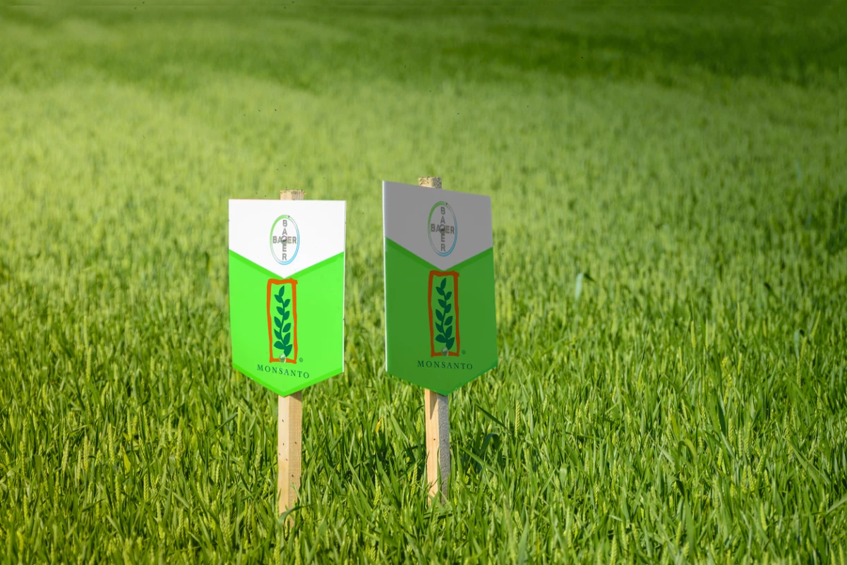 Bayer and Monsanto in a crops field