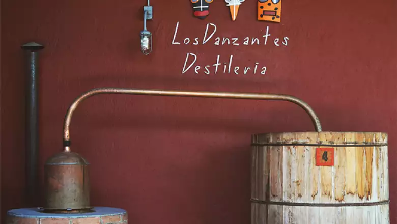 Los Danzantes 17