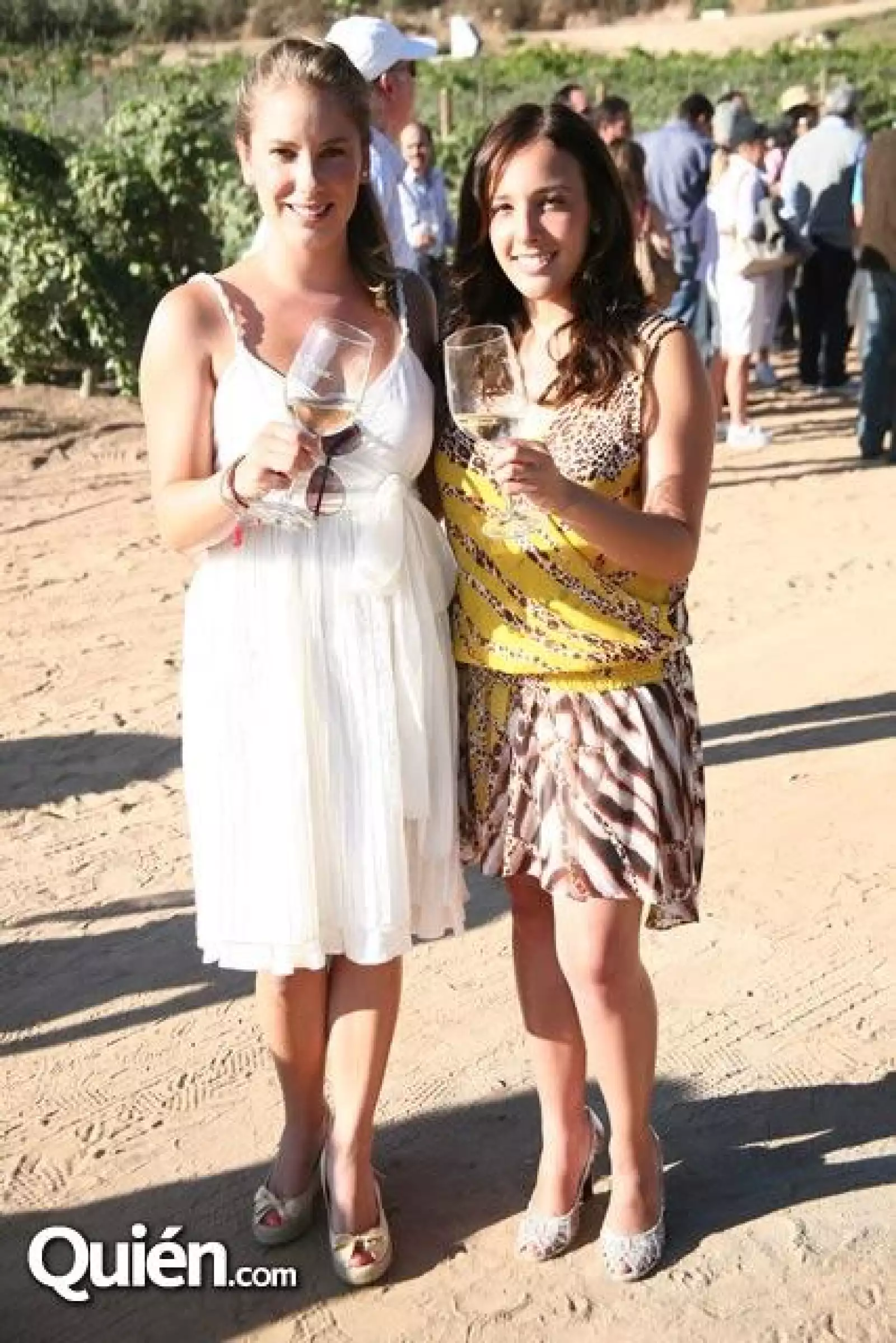 Vendimia Monte Xanic