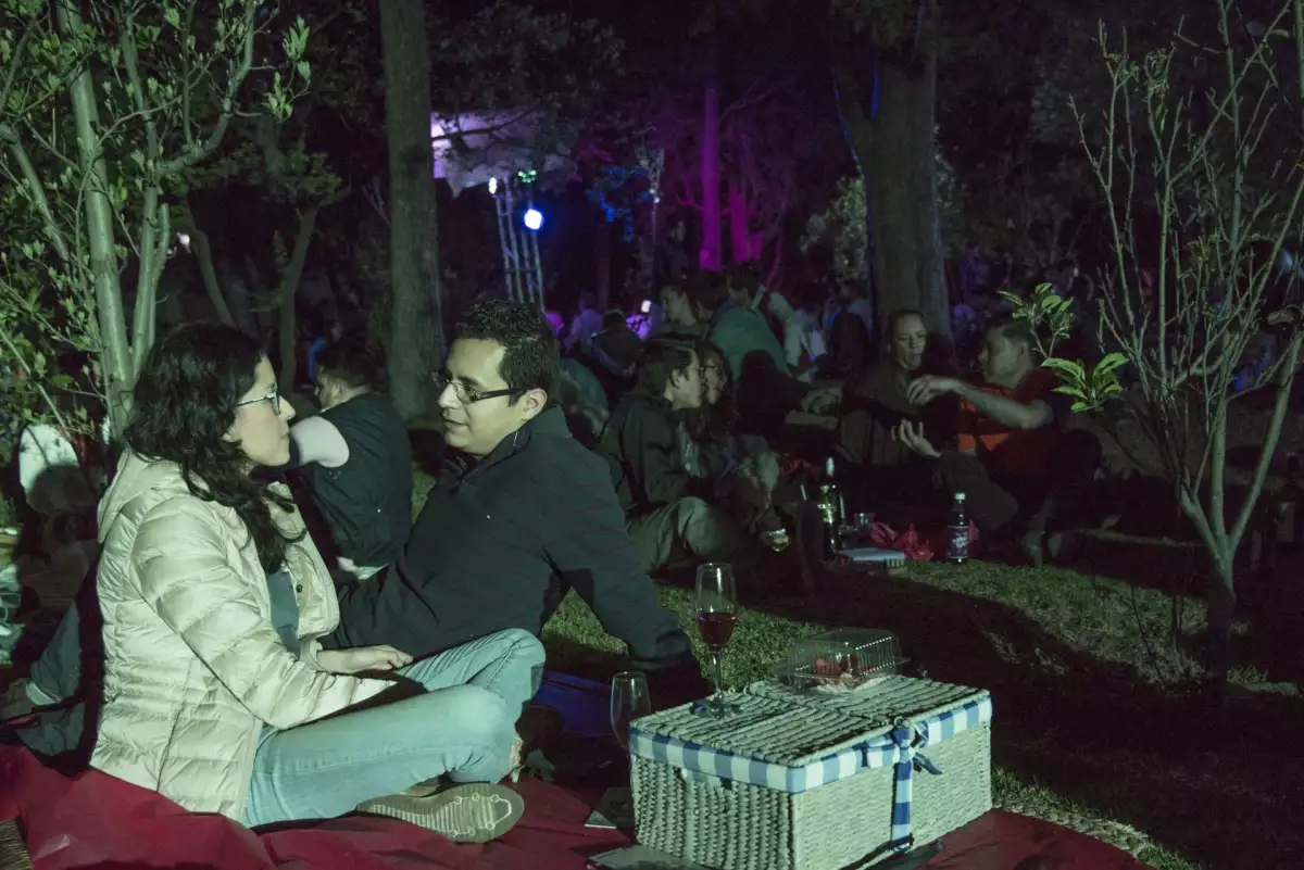 picnic-nocturno-febrero-chapultepec