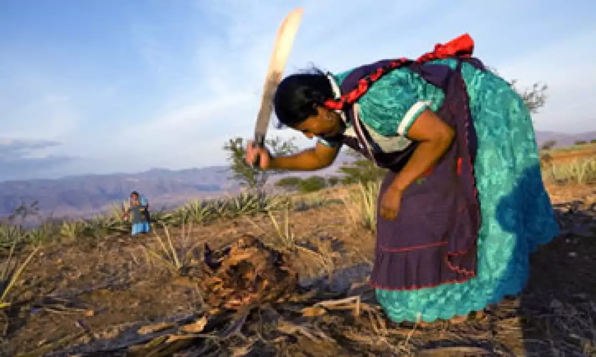 Una desaceleración económica implica el riesgo de recaídas a la pobreza y la pobreza extrema, según el Banco Mundial. (Foto: Getty Images)