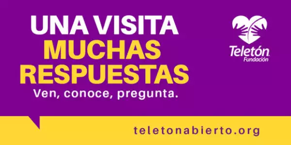 En cuanto a visitas, el Teletón sí llegó a la meta.