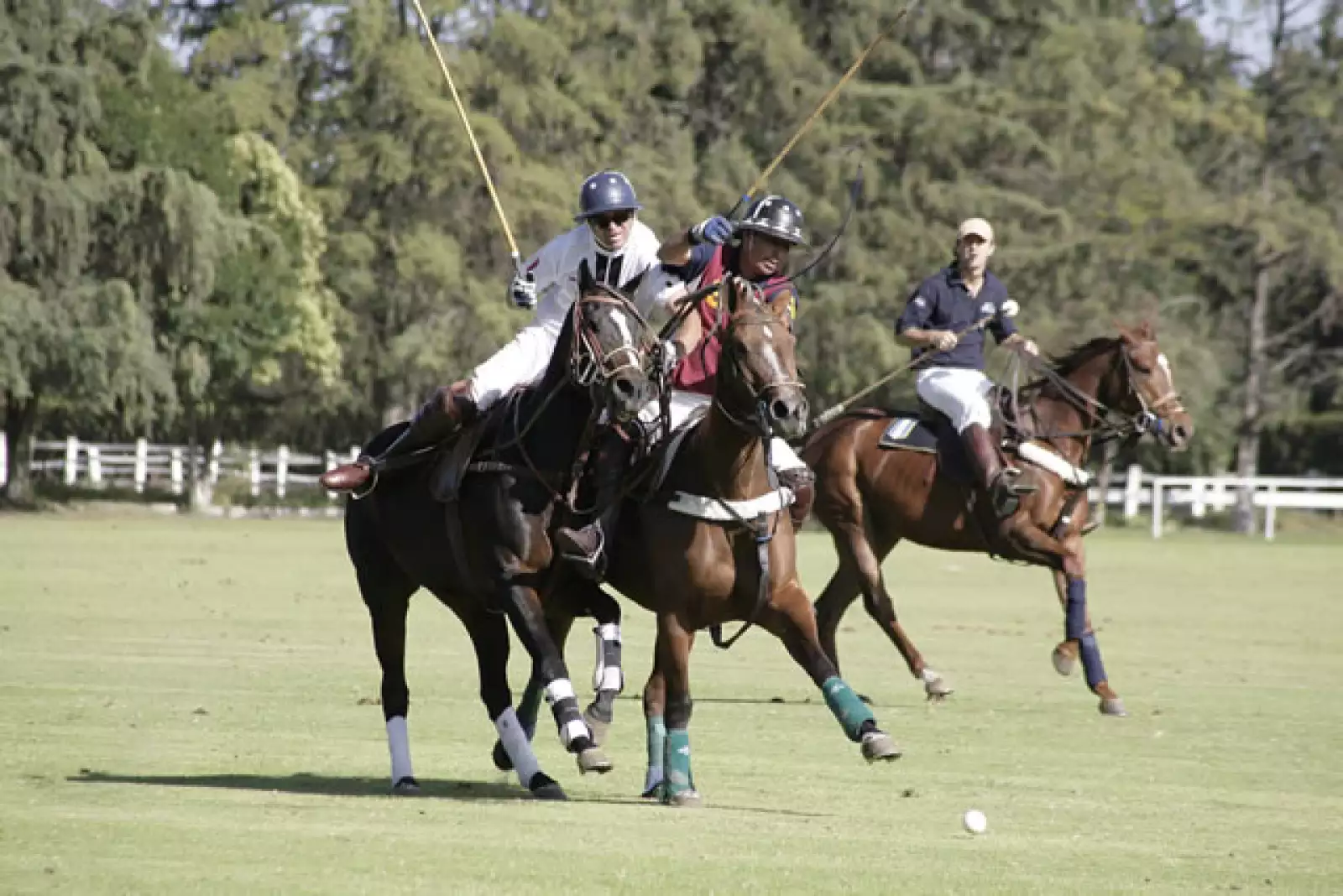 Torneo de Polo