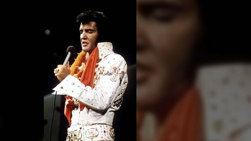 elvis