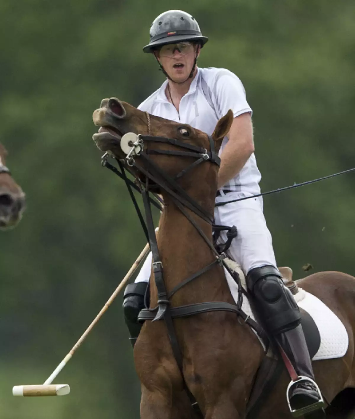 Harry es un as montando a caballo.