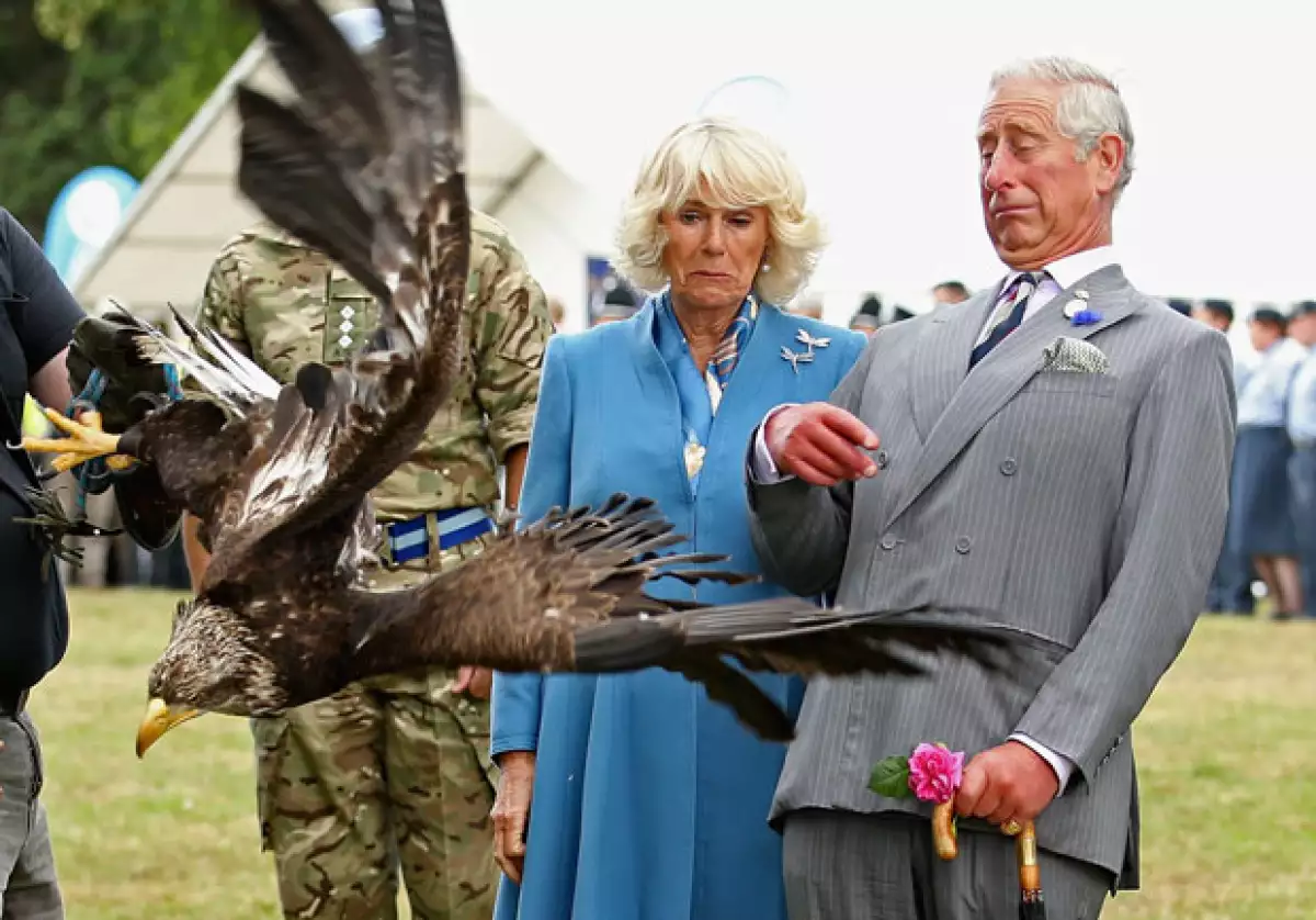 La pareja real fue captada justo en el momento en que hacían caras de miedo, luego de que la mascota del Cuerpo Aéreo de la Armada británica comenzara a rebelarse del entrenador.