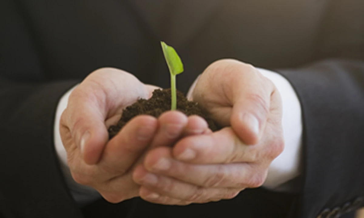 Crecer un negocio con recursos propios y no recurrir a fondos hasta que sea rentable, es una forma de emprender empresas tenológicos que se ha olvidado. (Foto: Getty Images)