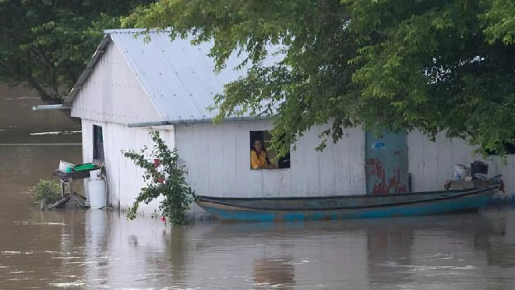 lluvias