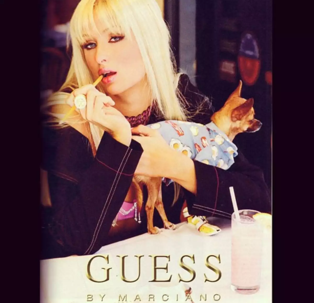 Junto a su dueña, se convirtió en toda una modelo.