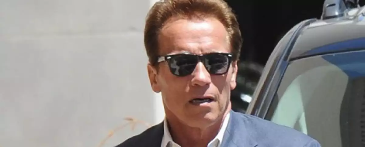 Arnold Schwarzenegger tiene 63 años.
