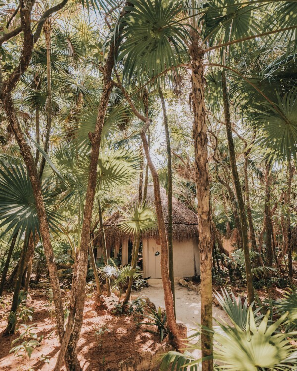 las-cabañas-papaya-playa-project.jpg