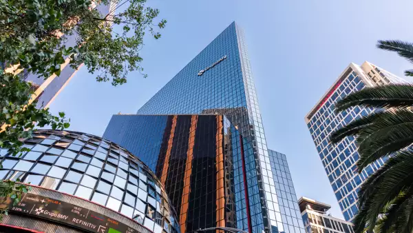 El mercado como lo conocemos inició a partir de los años 60´s dando paso a la implementación de avances tecnológicos a través de grandes inversiones extranjeras.