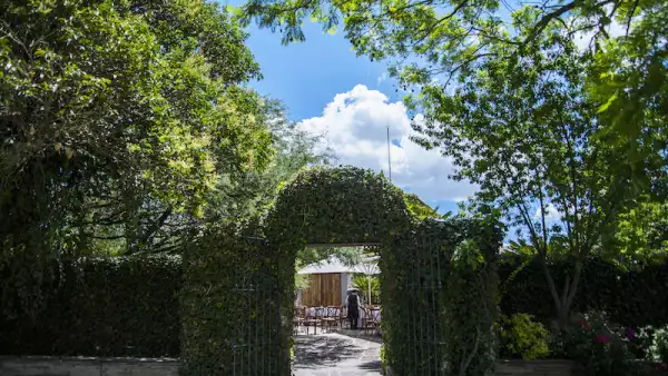 Life and Style Hedoné 2.jpg