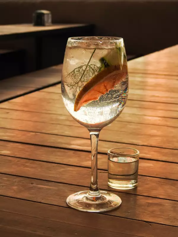 Destilados mexicanos que no son tequila