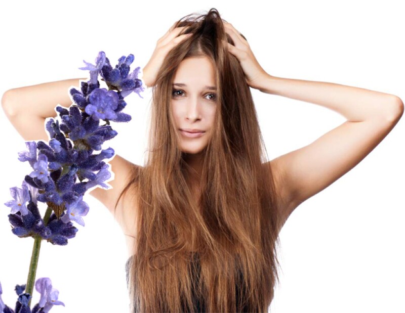 Siendo antibacterial, la lavanda ayuda a eliminar la caspa y la picazón del cuero cabelludo.