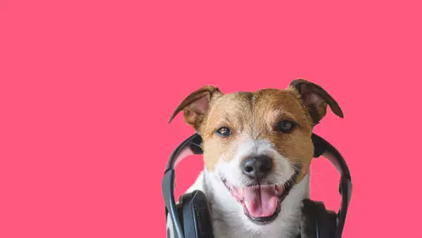 Música para tus mascotas