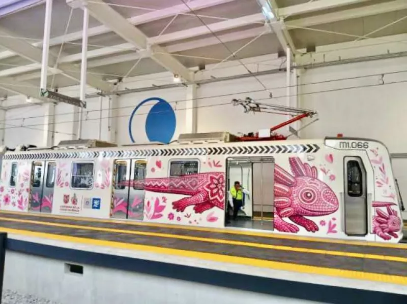 tren ligero el ajolote