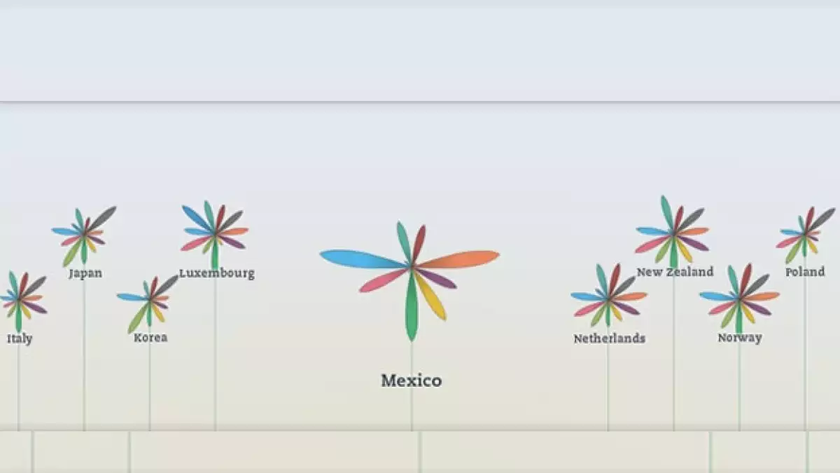 OCDE bienestar mexico