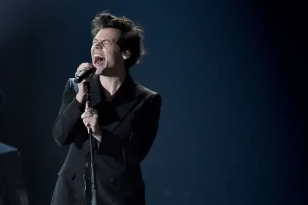 harry styles concierto meltdown 2.png