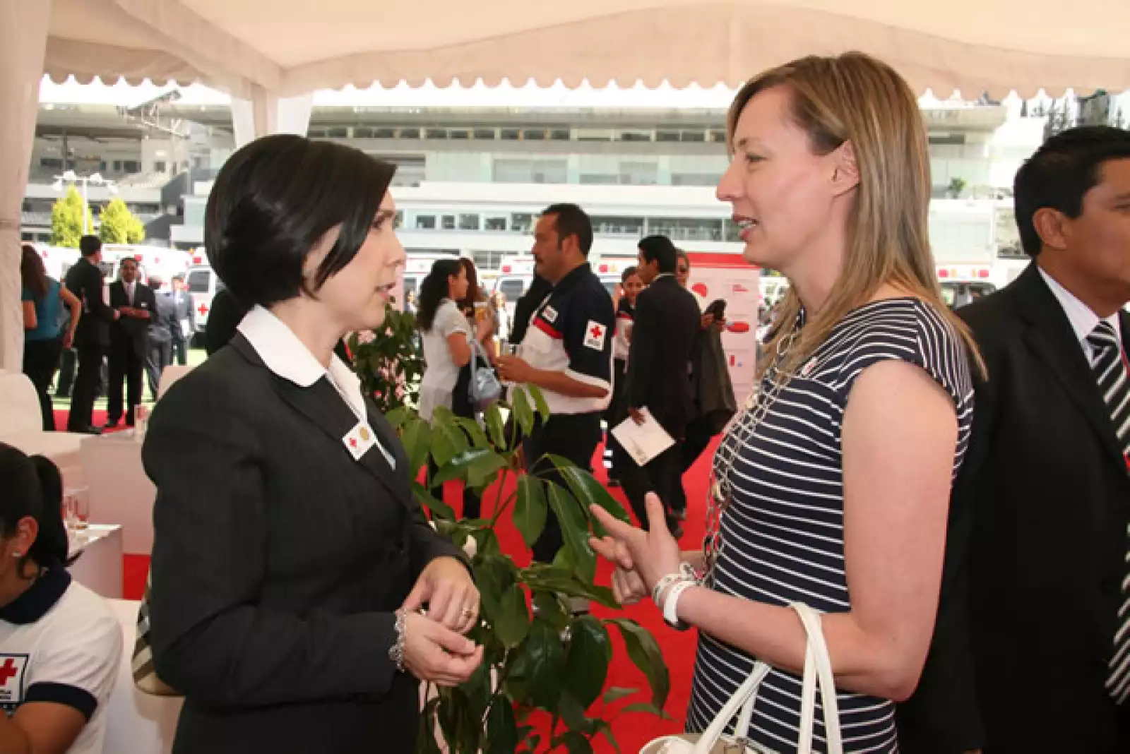 Colecta Anual 2009 Cruz Roja.