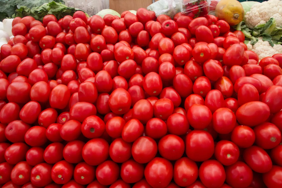 El jitomate se convierte en rehén de guerra comercial entre México y EU, podría tener aranceles
