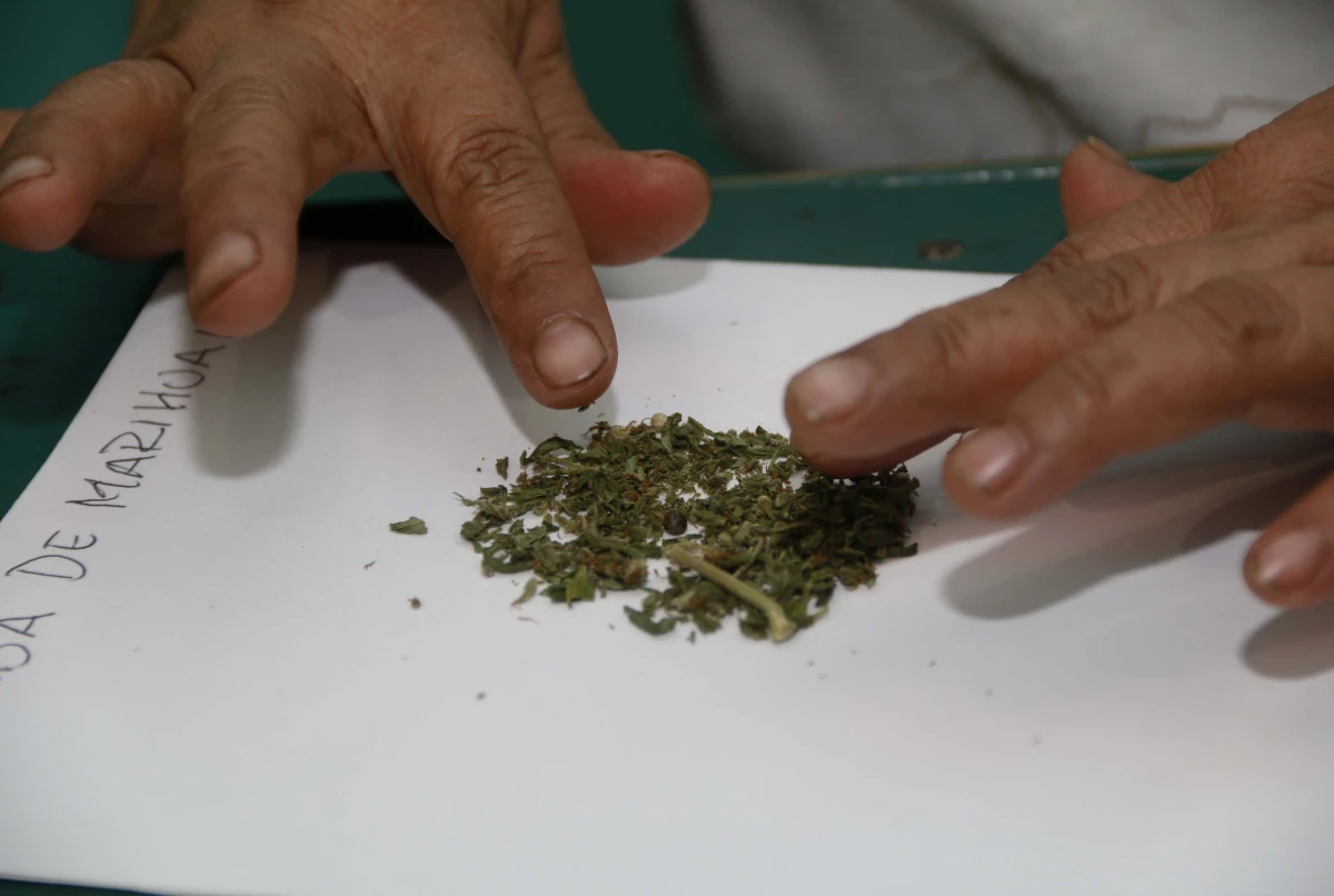 Marihuana_medicinal_3.jpg