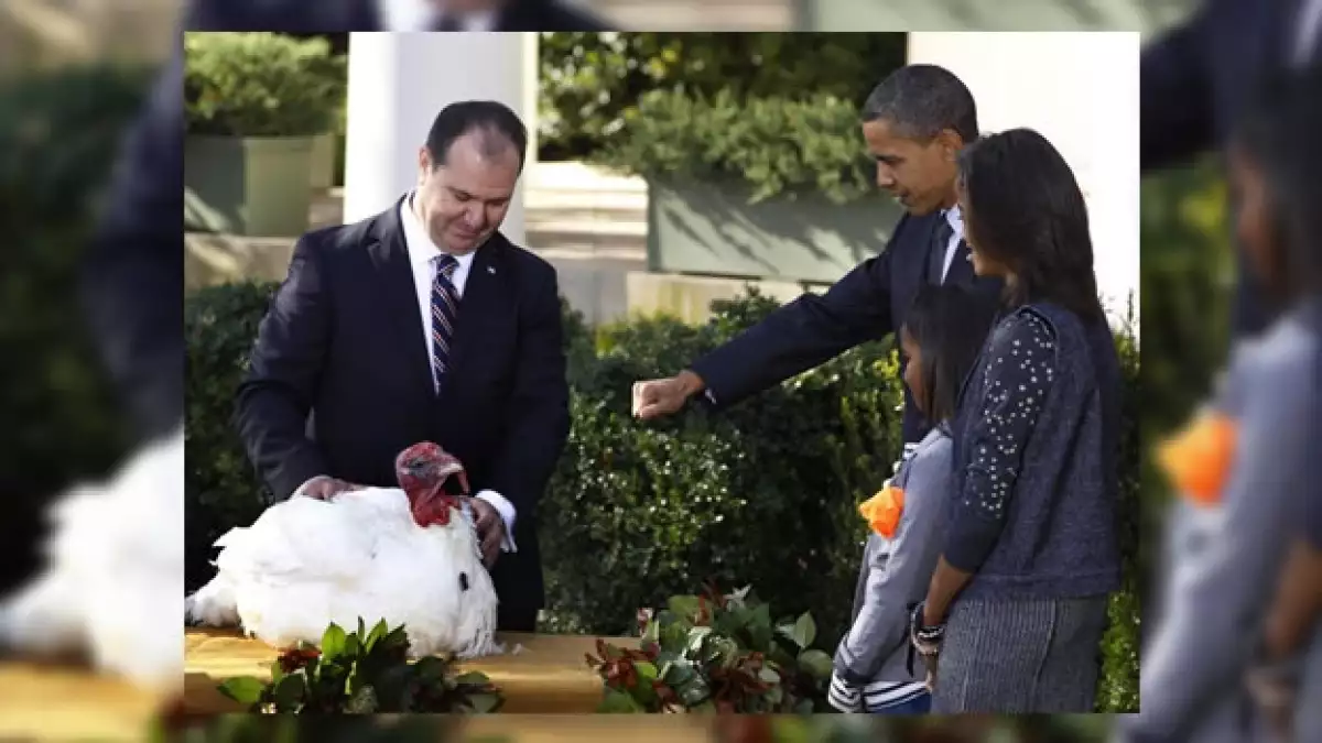 obama pavo