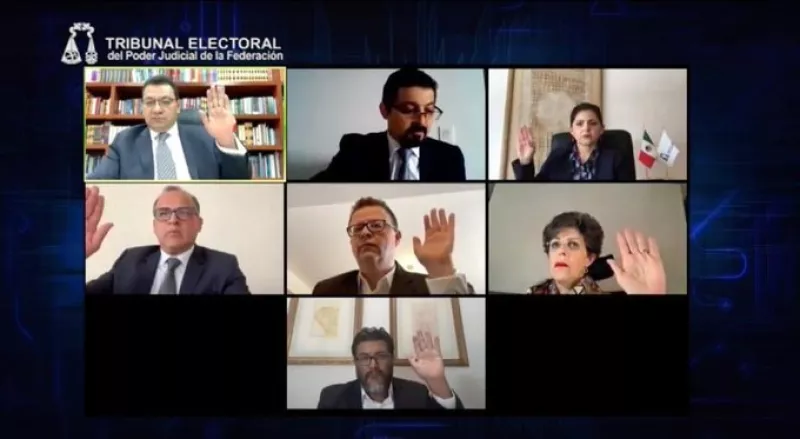 tribunal elecciones 2020