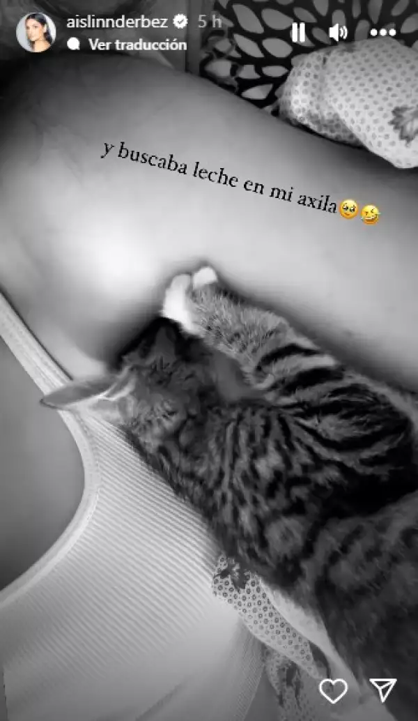 aislinn-derbez-gato