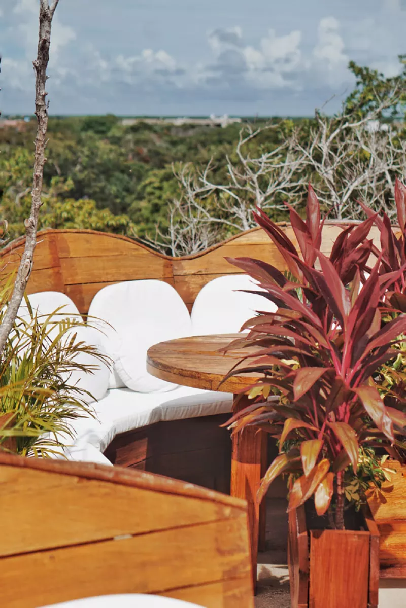 orchid-house.jpg
