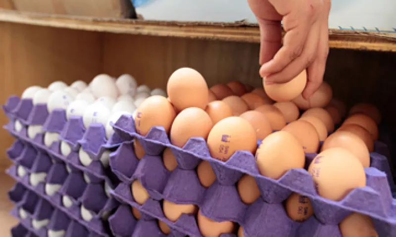El precio del huevo ha aumentado 7.2% en lo que va de 2015. (Foto: Notimex )