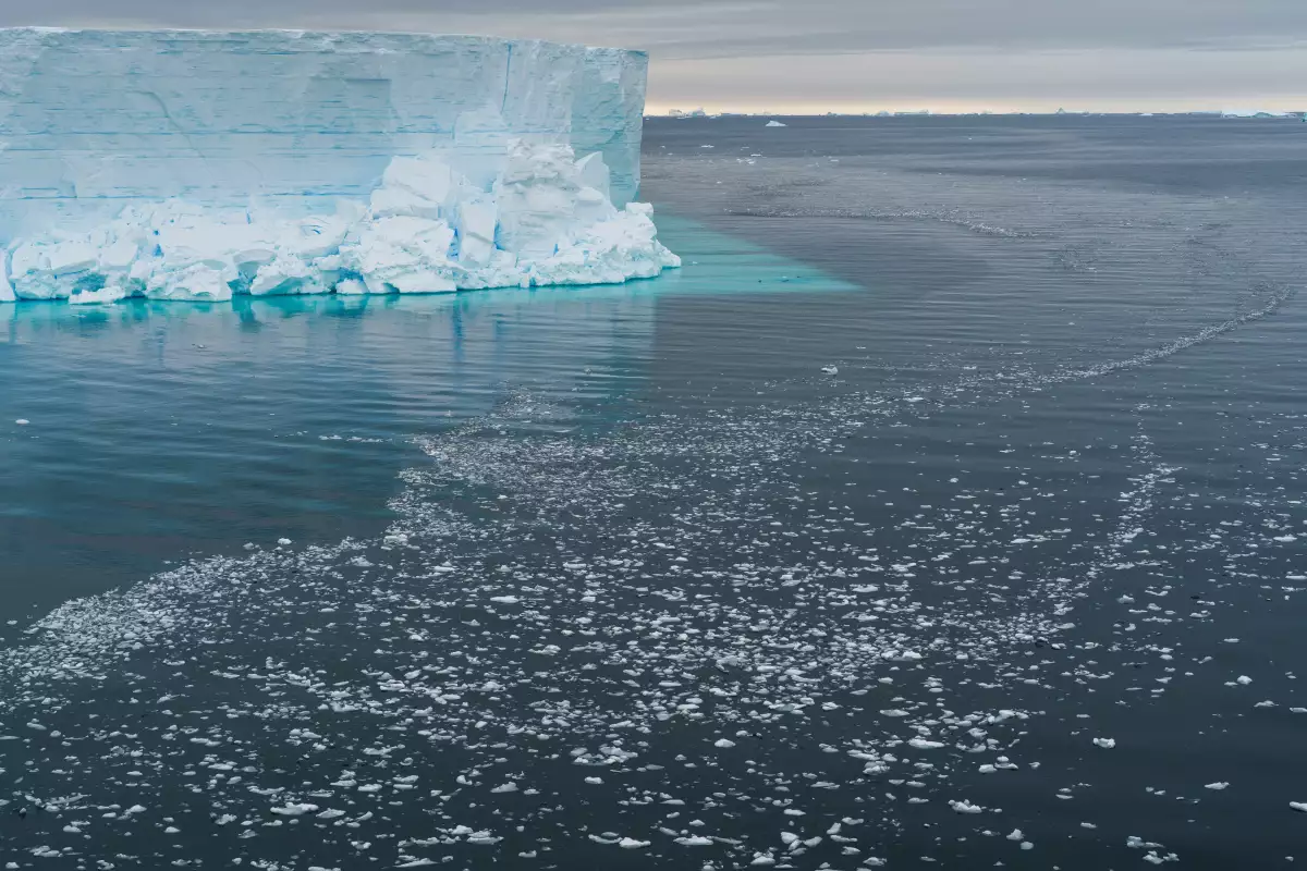 hallan-ecosistema-desprendimiento-glaciar-antartida.jpg