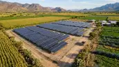paneles solares en un campo con pareclas y una comunidad al fondo.