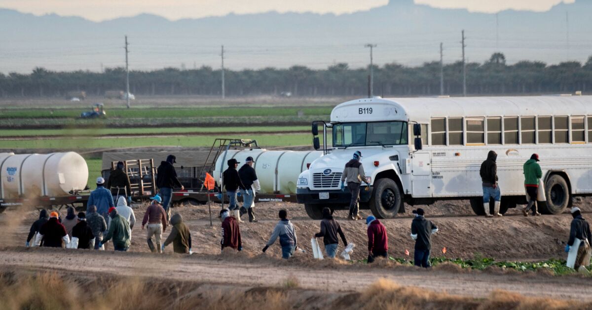 Havale Mart ayında ribaund ve 5.150 milyon dolardan fazla geliyor