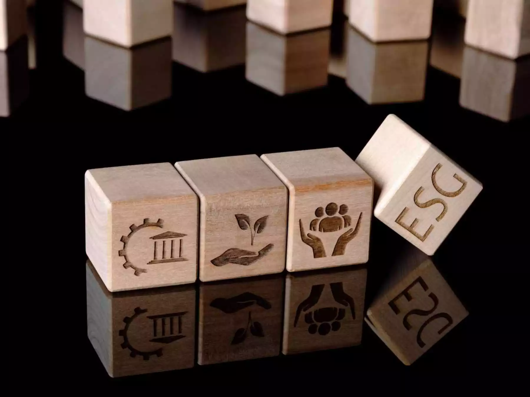 Conoce qué son los criterios ESG que deben considerar las empresas.