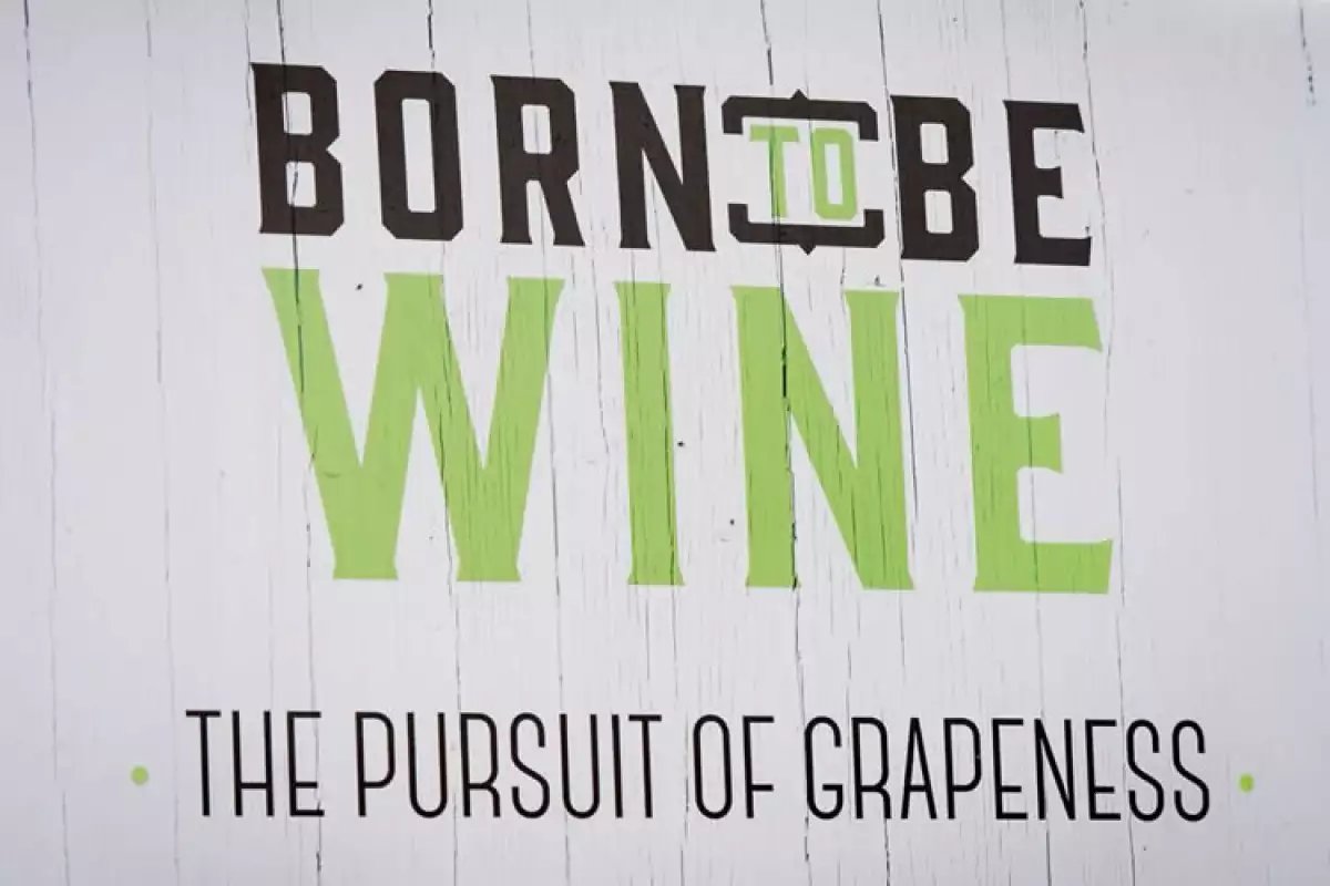 Born to Be Wine