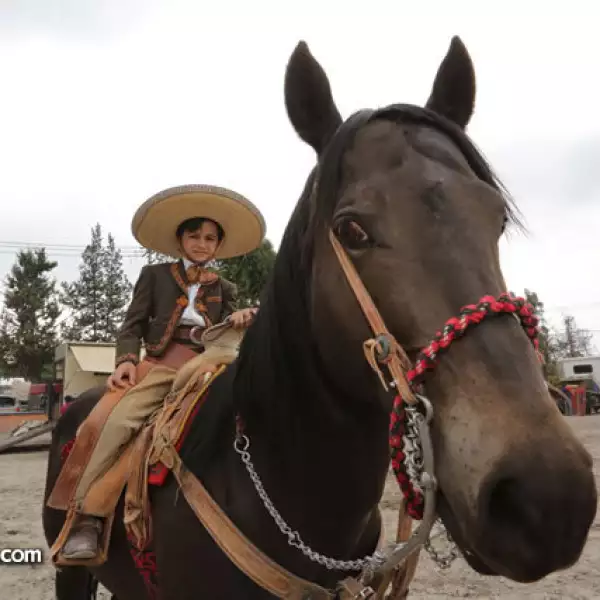Emiliano Esquivel Abdala