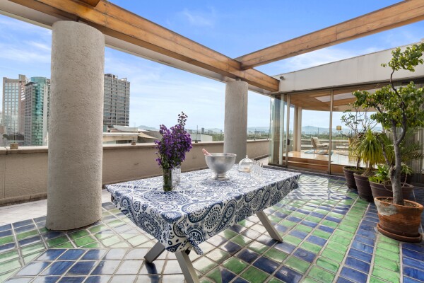 sotheby's-cdmx-terraza