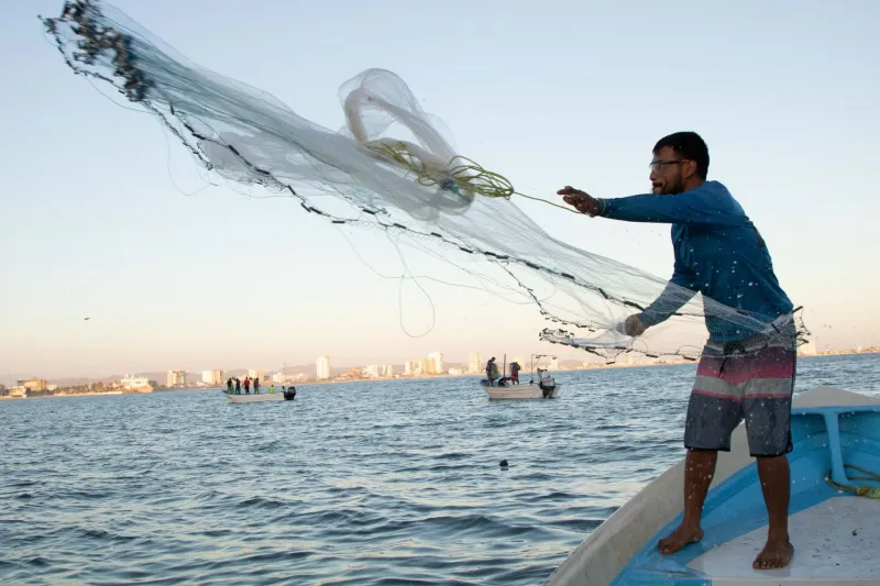 Pescador lanza una red desde una embarcación mientras trabaja en el mar; al fondo se observan otras lanchas y la costa.