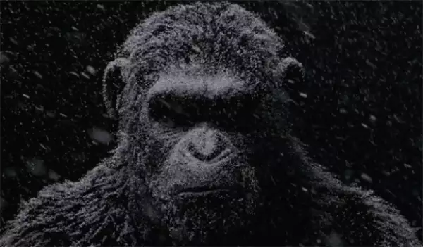 War of the Planet of the Apes